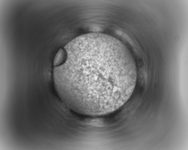 X0000088450553200706051308