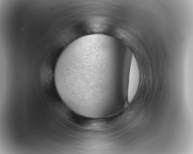 X0000088450555200706051308