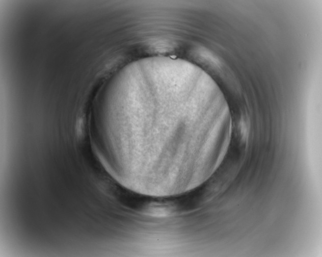 X0000088450556200706051308