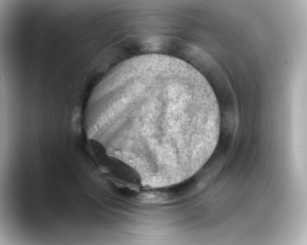 X0000088450557200706051308