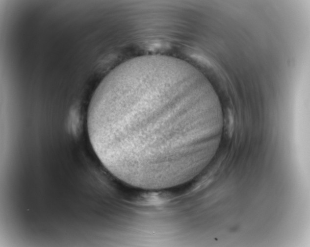 X0000088450558200706051308