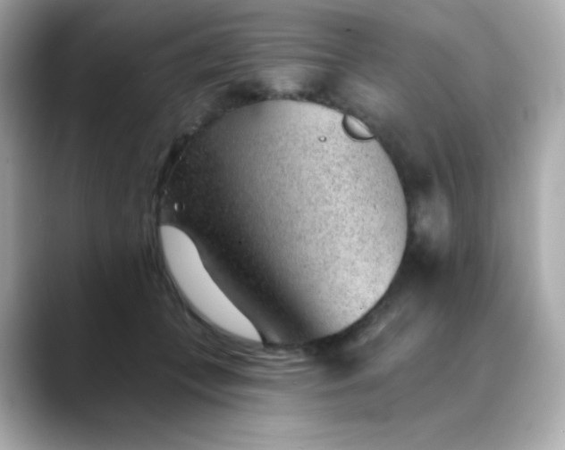 X0000088450559200706051308
