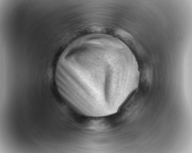 X0000088450560200706051308