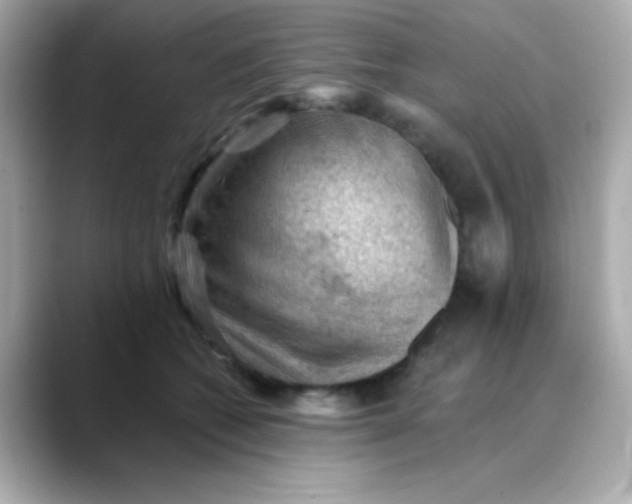 X0000088450562200706051308