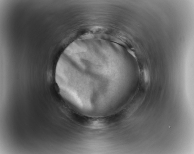 X0000088450564200706051308