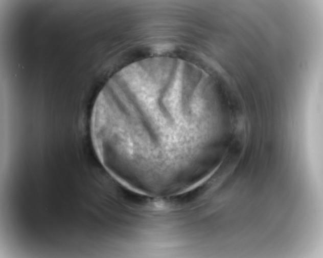X0000088450565200706051308