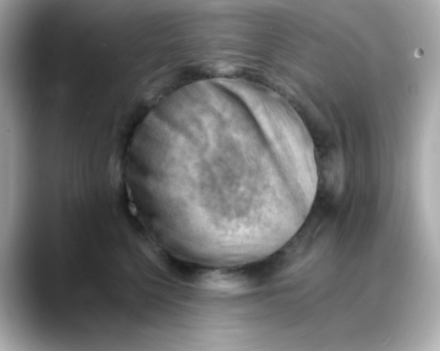 X0000088450568200706051308
