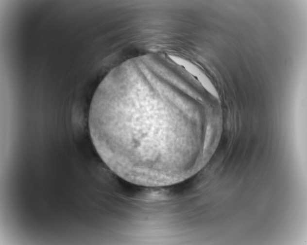X0000088450569200706051308