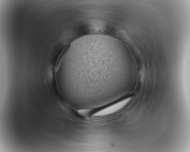 X0000088450570200706051308