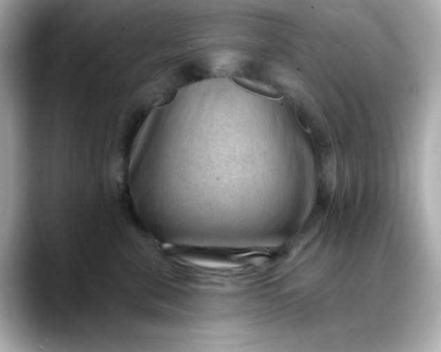 X0000088450571200706051308