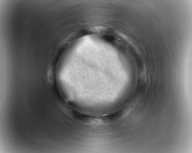 X0000088450572200706051308