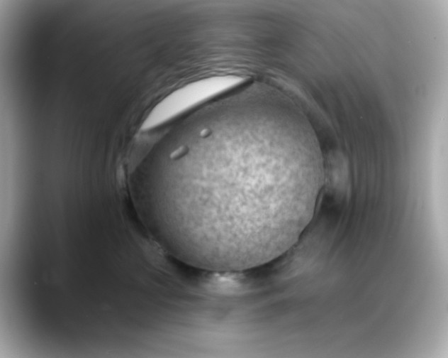 X0000088450573200706051308