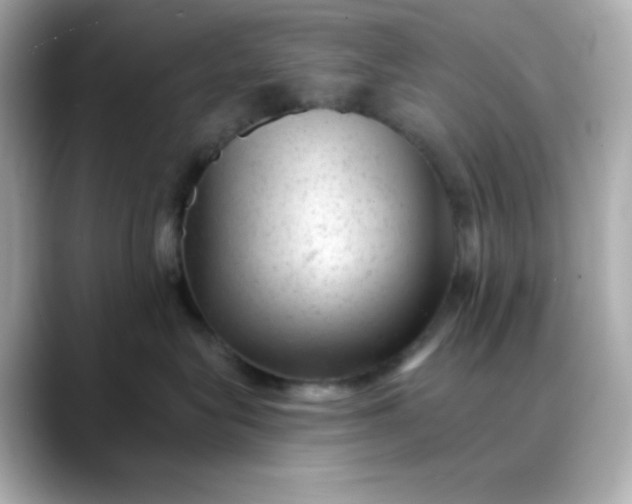 X0000088450575200706051308