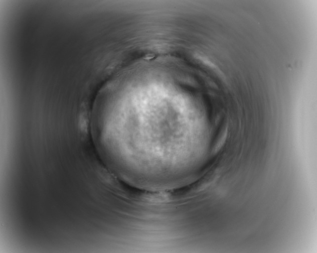 X0000088450576200706051308