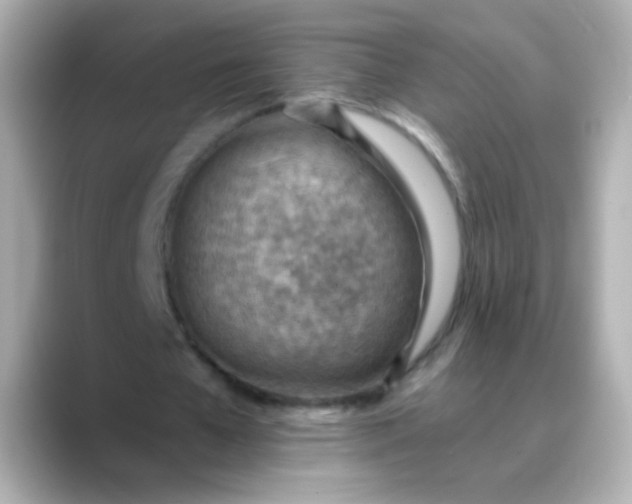X0000088450577200706051308