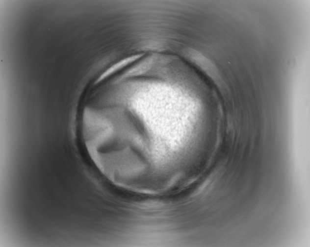 X0000088450578200706051308