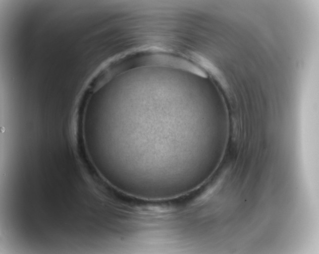 X0000088450580200706051308