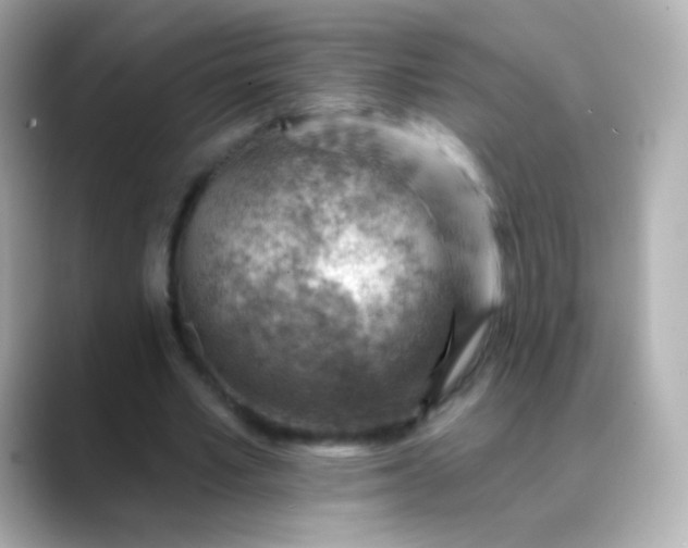 X0000088450581200706051308