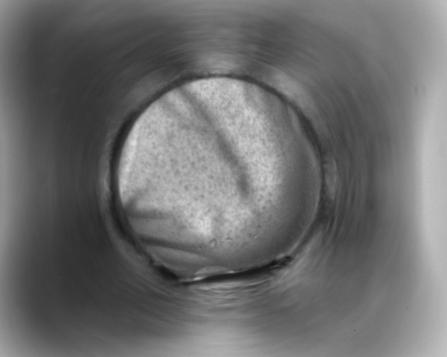 X0000088450582200706051308