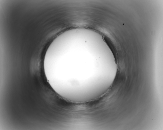 X0000088450583200706051308