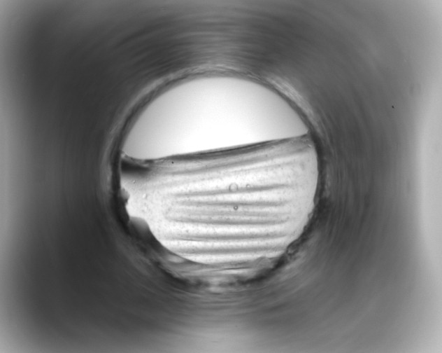 X0000088450584200706051308