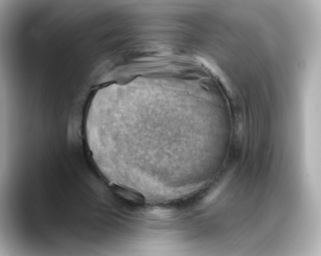 X0000088450585200706051308