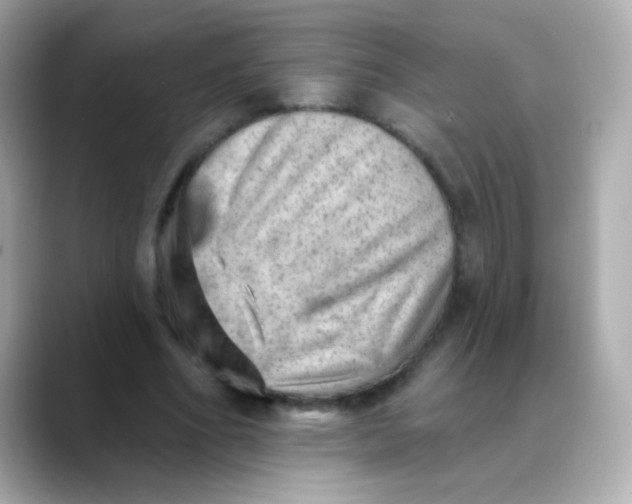 X0000088450586200706051308