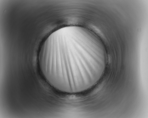 X0000088450588200706051308