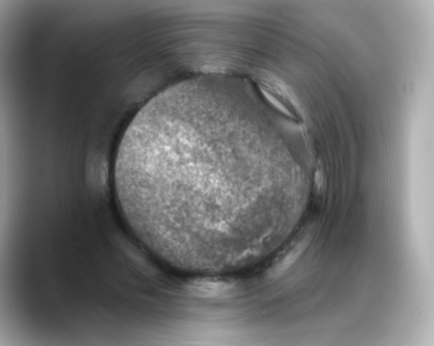 X0000088450589200706051308