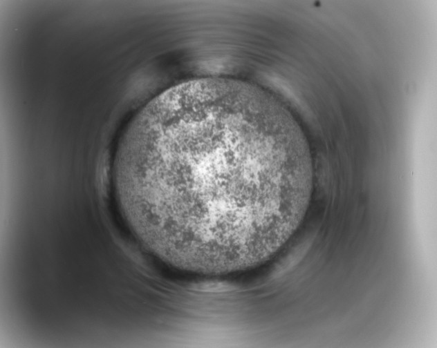 X0000088450590200706051308