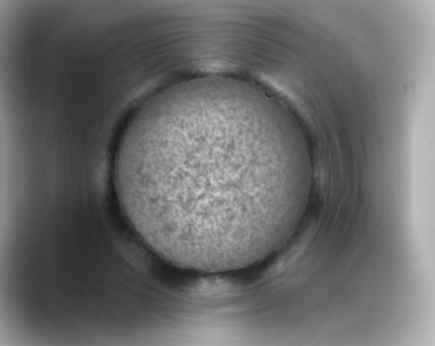 X0000088450591200706051308