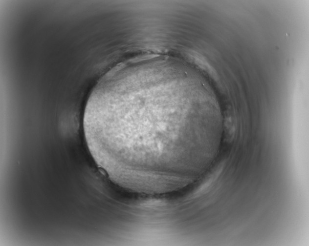 X0000088450593200706051308