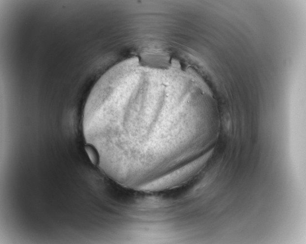X0000088450594200706051308