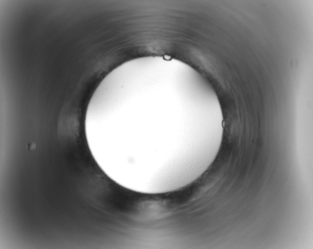 X0000088450595200706051308