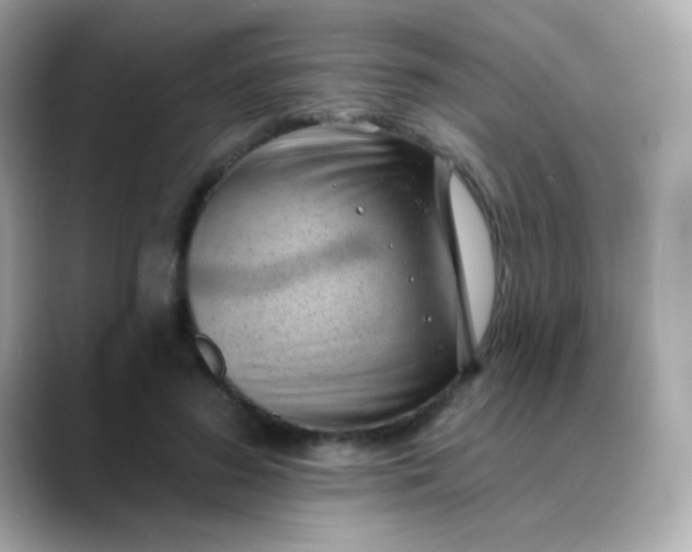 X0000088450596200706051308