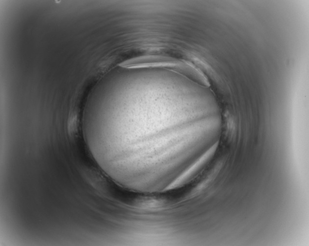 X0000088450597200706051308