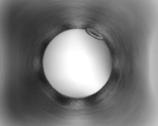 X0000088450599200706051307