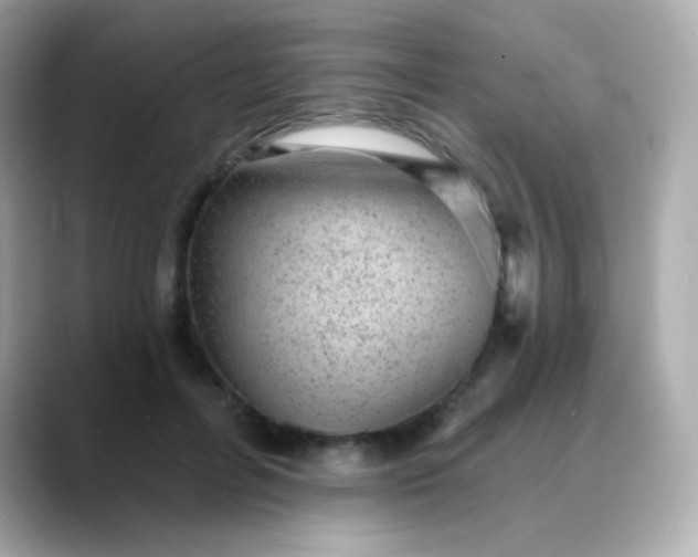 X0000088450600200706051307