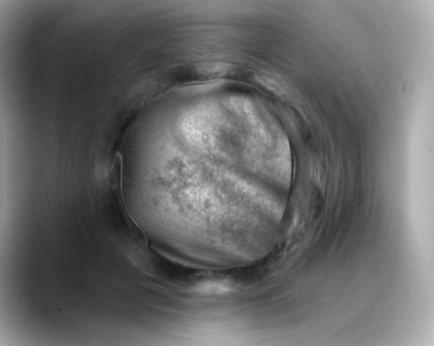 X0000088450601200706051307