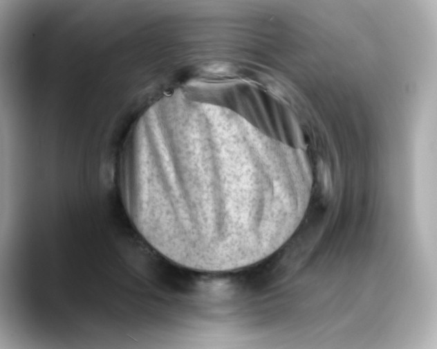 X0000088450602200706051307
