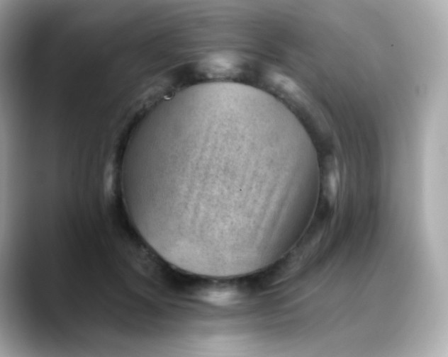 X0000088450604200706051307