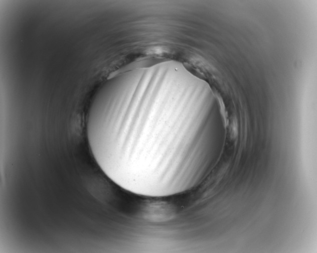 X0000088450605200706051307