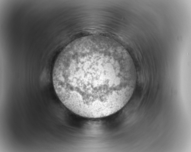 X0000088450606200706051307
