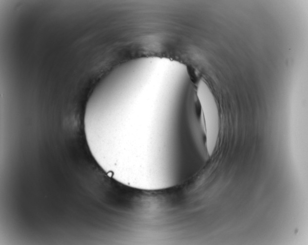 X0000088450608200706051307