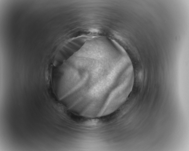 X0000088450609200706051307