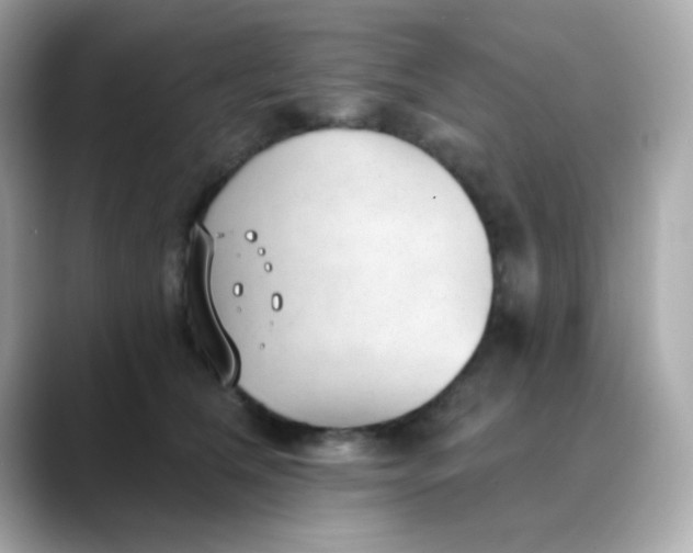 X0000088450612200706051307