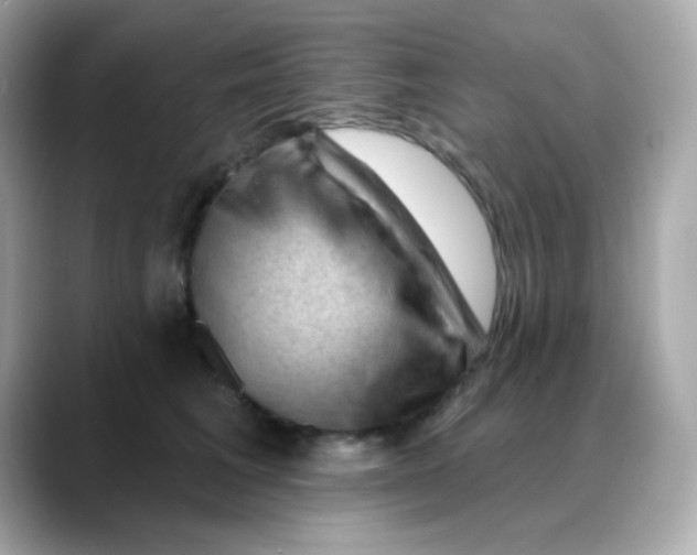 X0000088450613200706051307