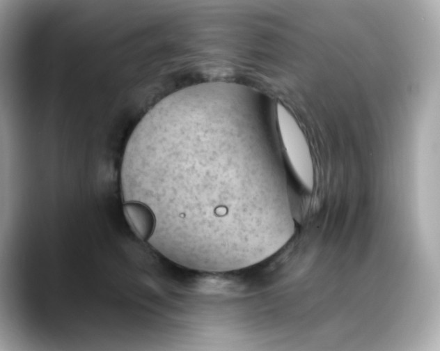X0000088450614200706051307