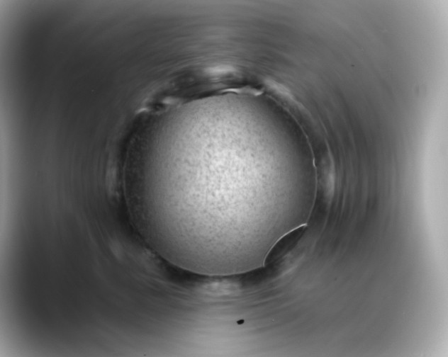 X0000088450619200706051307