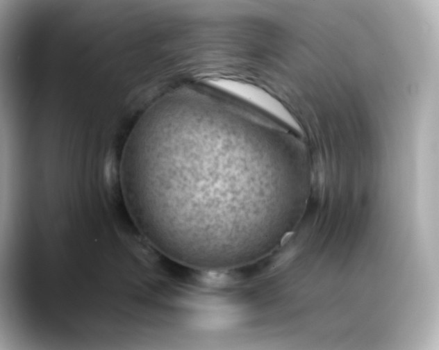 X0000088450623200706051307